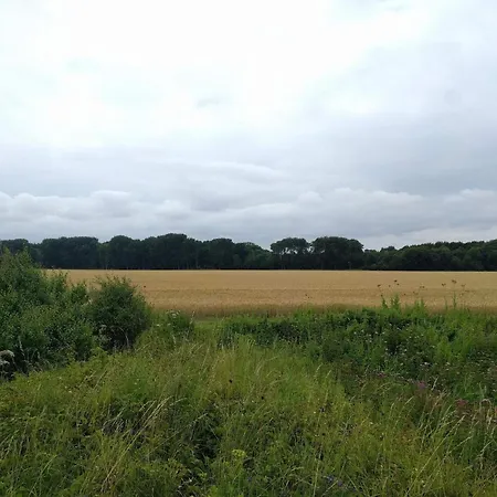 5 Star In Feriehus Otterup