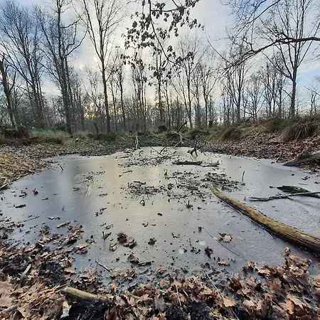 5 Star In Feriehus Otterup
