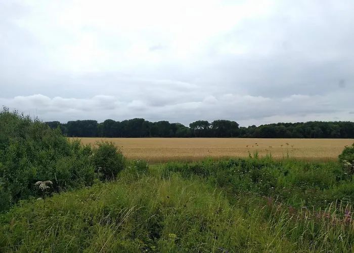 5 Star In 別荘 オテルプ