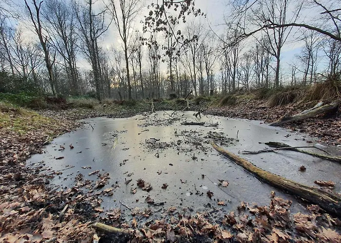 5 Star In 別荘 オテルプ